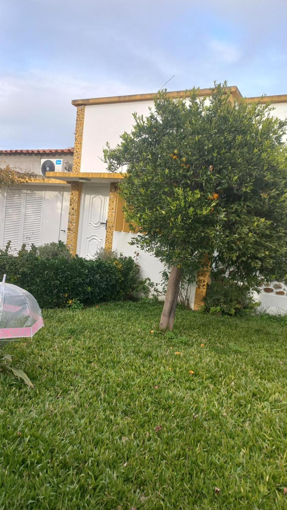 Casa Dos Gansos Holiday home