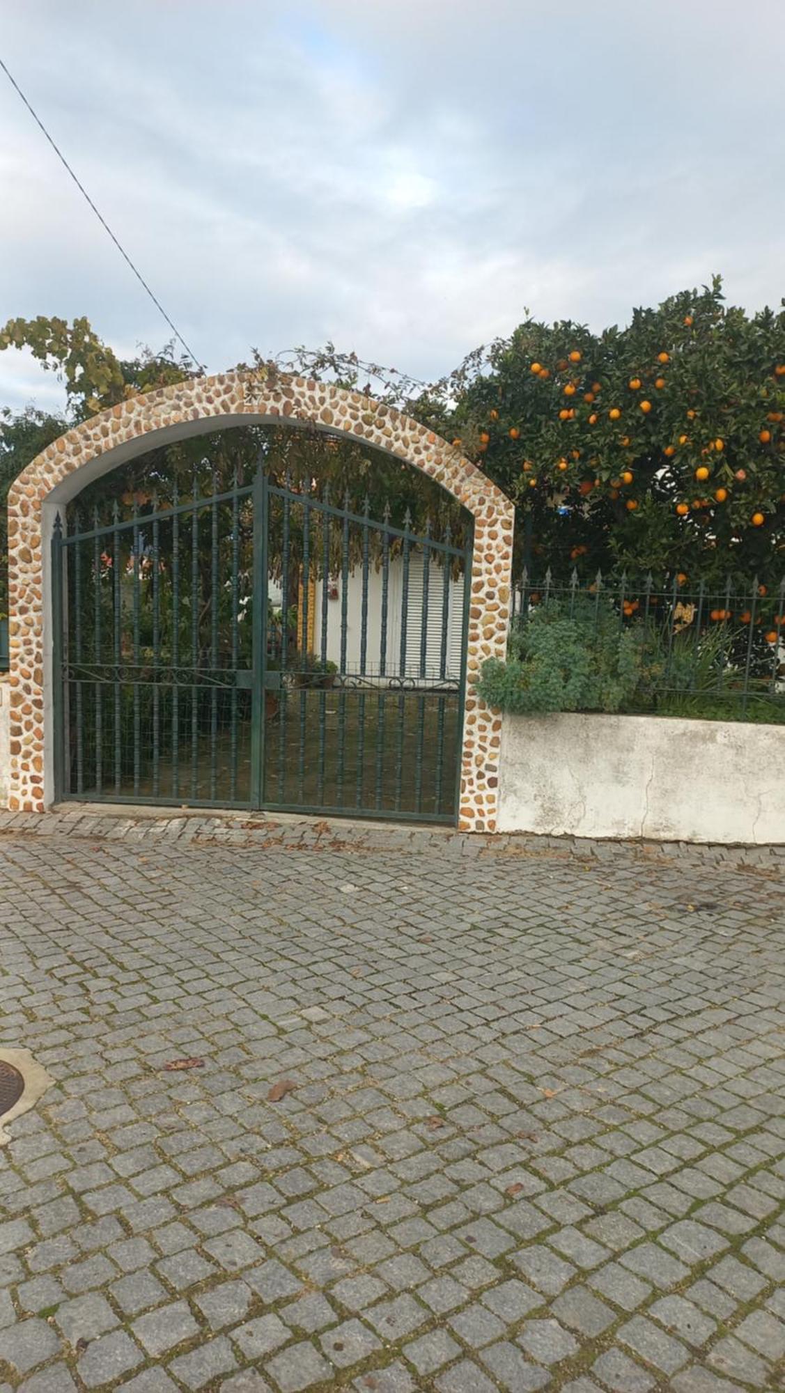 Casa Dos Gansos Holiday home